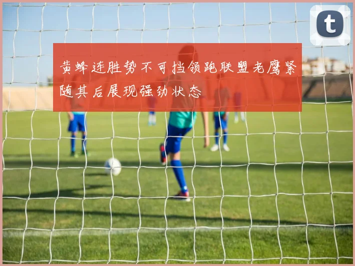 黄蜂连胜势不可挡领跑联盟老鹰紧随其后展现强劲状态