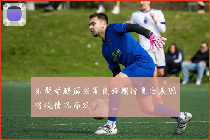东契奇腿筋恢复良好期待复出表现将视情况而定